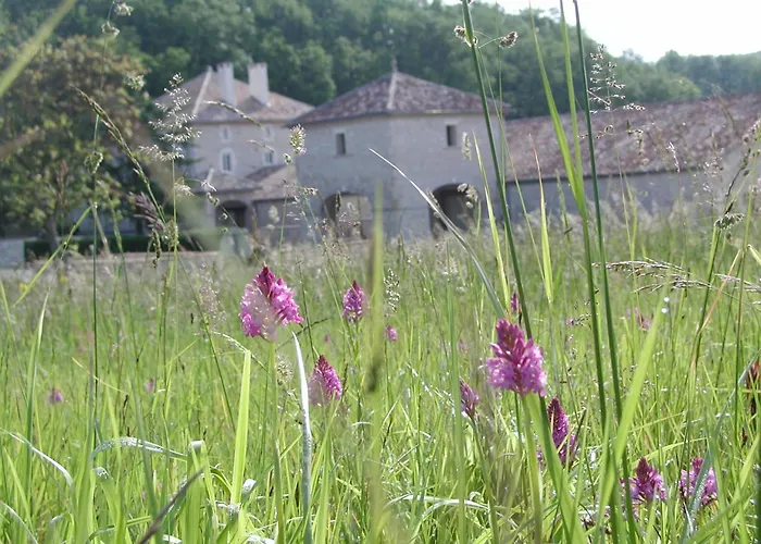 Chateau Lecusse - La Grande Roche - Hotel, Spa, Boutique & Restaurant Hotel Broze