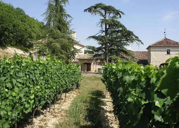 Hotel Chateau Lecusse - La Grande Roche - Hotel, Spa, Boutique & Restaurant Broze