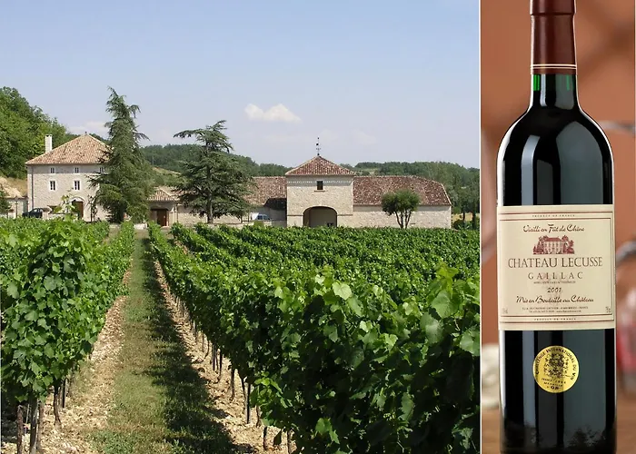 Chateau Lecusse - La Grande Roche - Hotel, Spa, Boutique & Restaurant 5*