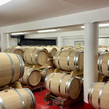 Отель Chateau Lecusse - La Grande Roche - Hotel, Spa, Boutique & Restaurant 5*