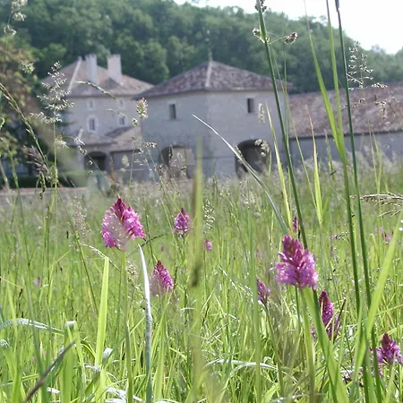 Chateau Lecusse - La Grande Roche - Hotel, Spa, Boutique & Restaurant Отель Broze