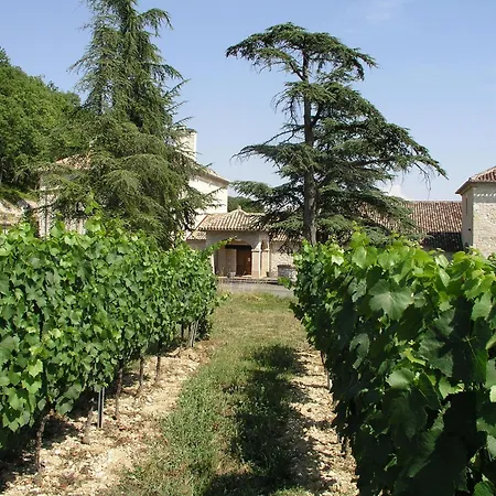 Отель Chateau Lecusse - La Grande Roche - Hotel, Spa, Boutique & Restaurant Broze