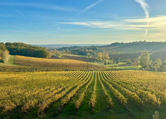 Chateau Lecusse - La Grande Roche - Hotel, Spa, Boutique & Restaurant 5*